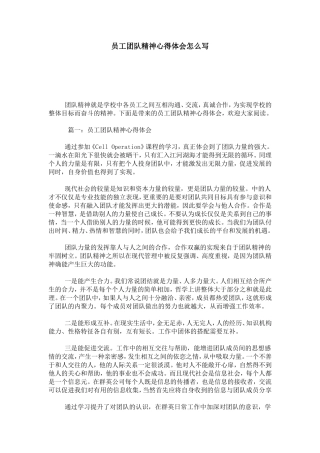 员工团队精神心得体会怎么写-总结报告模板