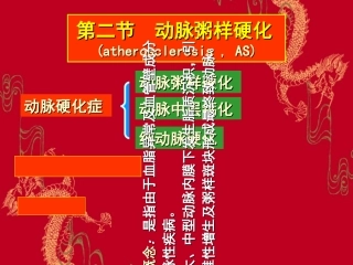 病理学动脉粥样硬化