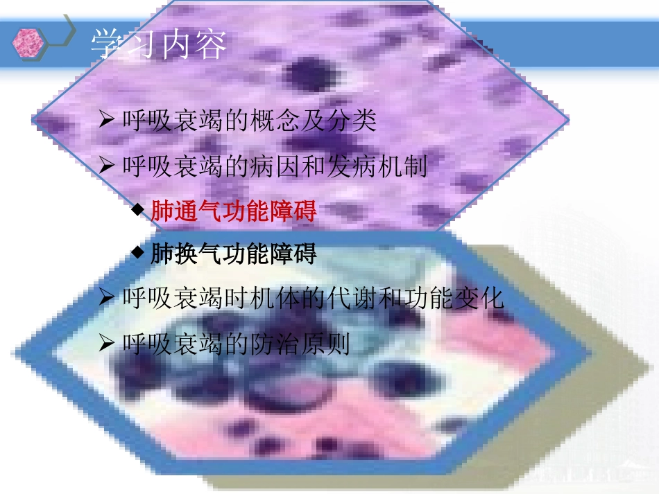 病理学与病理生理学呼吸衰竭_第2页