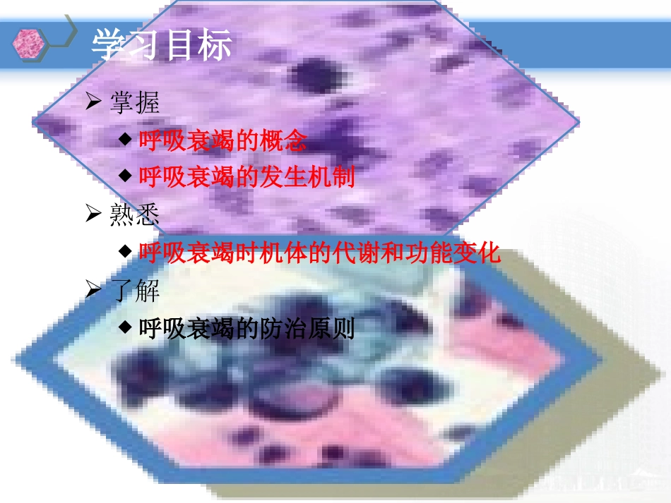 病理学与病理生理学呼吸衰竭_第3页