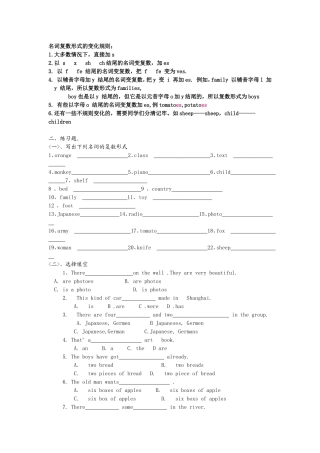 名词复数形式的变化规则