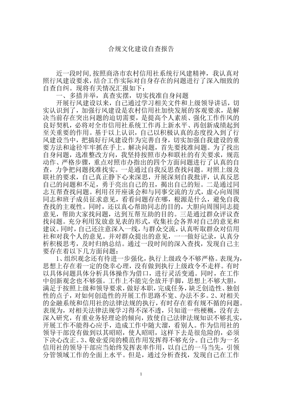 合规自查报告_第1页