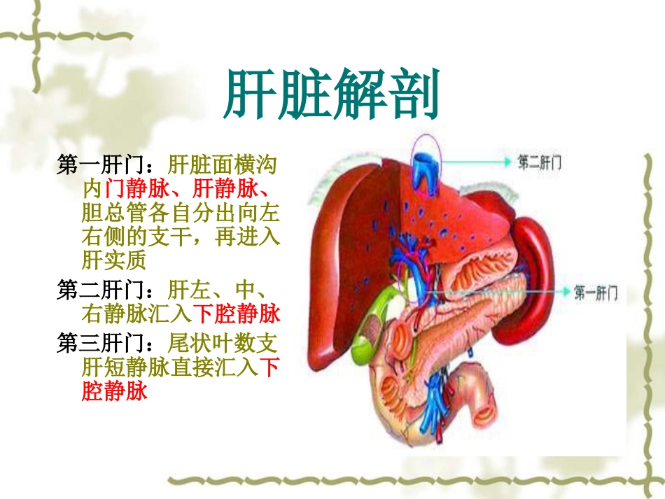 布加氏综合征讲义_第3页