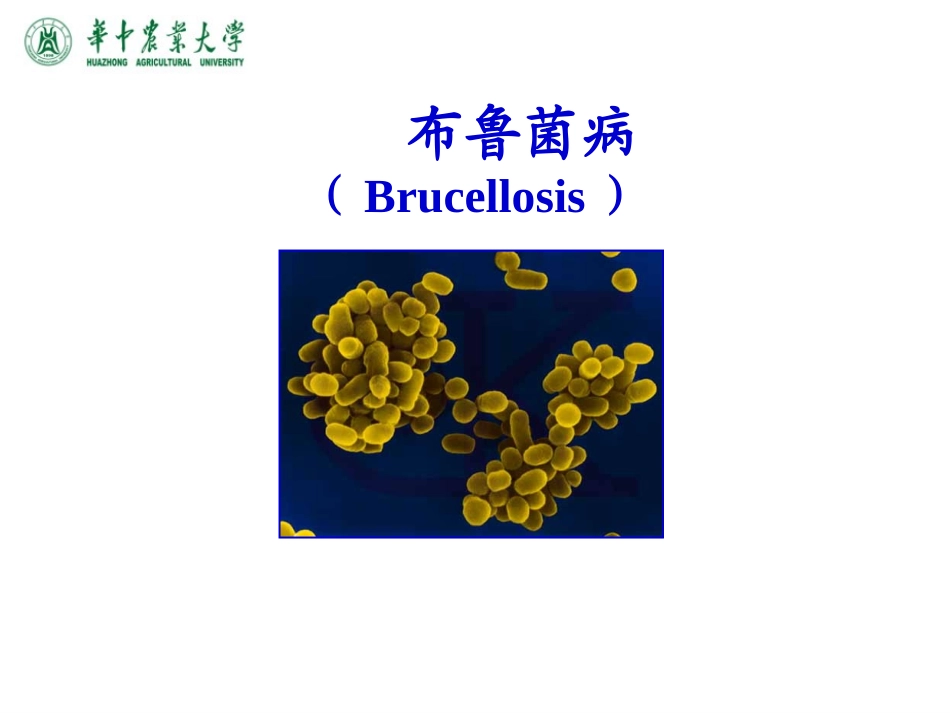 布鲁菌病详细讲解_第1页