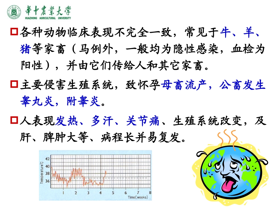 布鲁菌病详细讲解_第3页