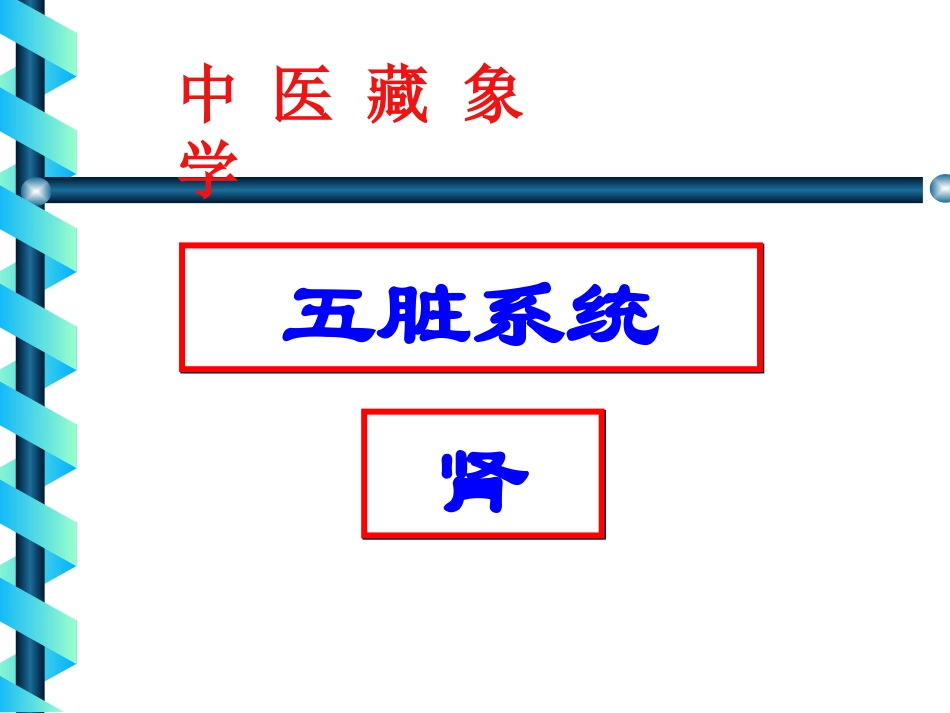 藏象学说肾周康梅_第1页