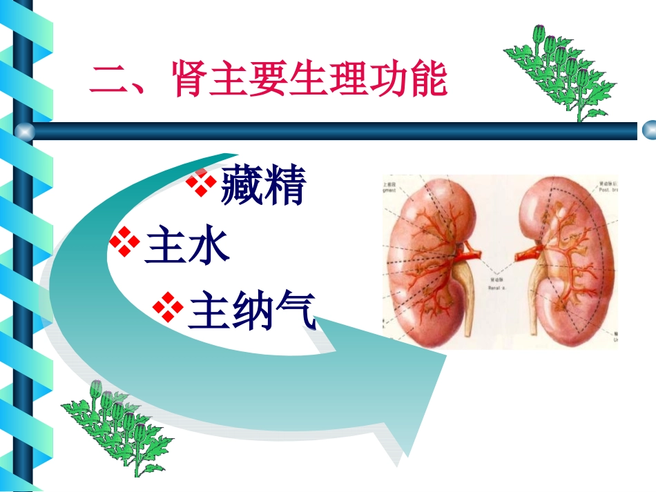 藏象学说肾周康梅_第3页
