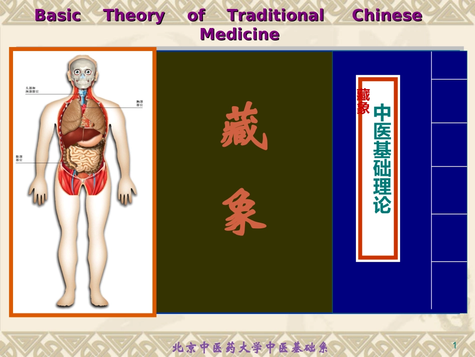 藏象学说五脏肺详解_第1页