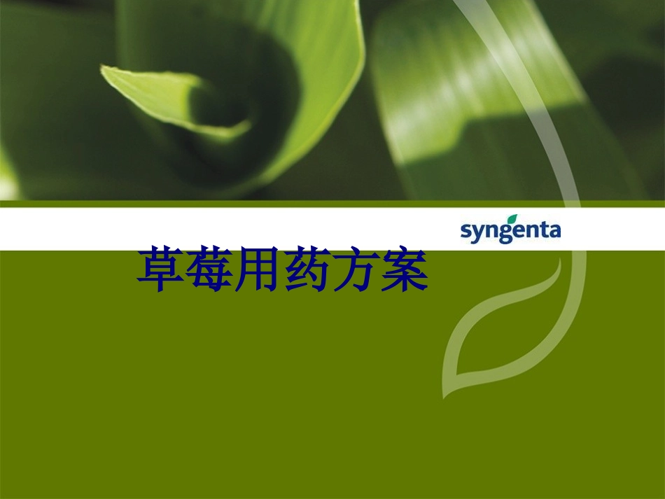 草莓用药方案讲义_第1页