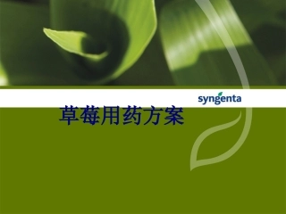 草莓用药方案讲义