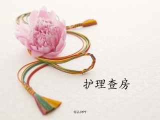 查房消化性溃疡护理查房