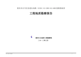 合川公路病害勘察报告