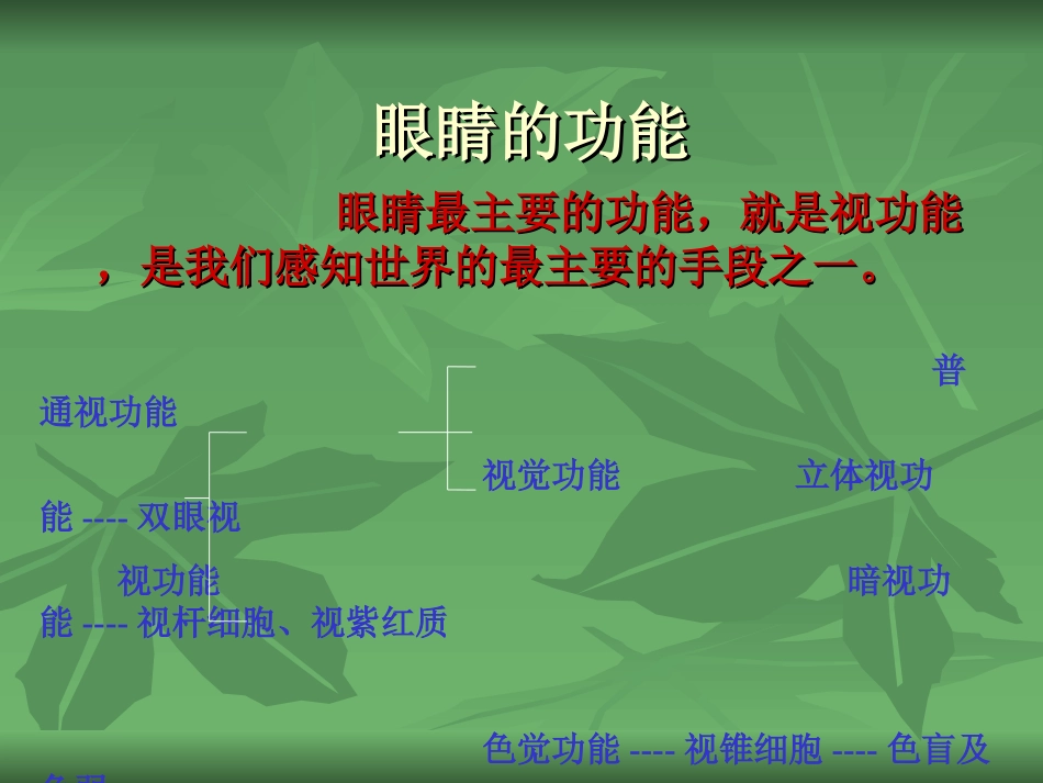 常见的眼部疾病_第3页