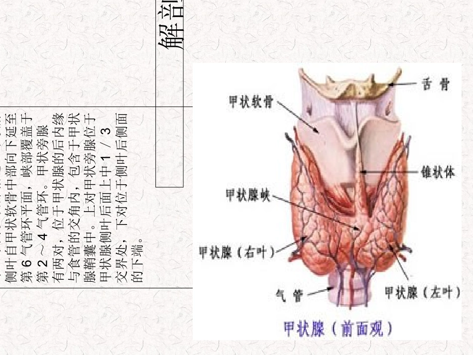 常见甲状腺疾病的CT诊断总结_第2页
