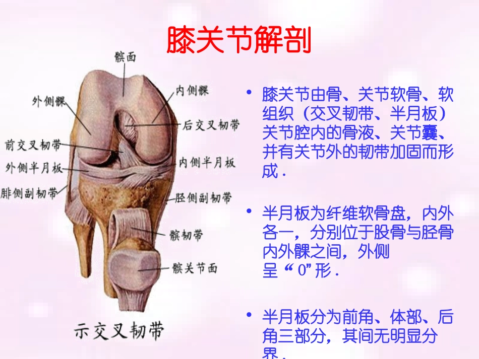 常见膝部关节镜手术及术后康复程序课件_第2页