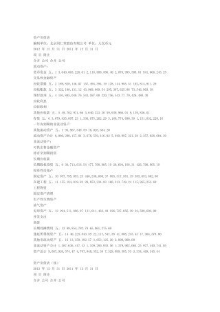 同仁堂2012年财务报表