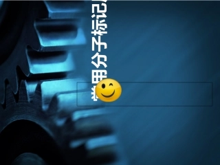 常用分子标记技术原理及应用