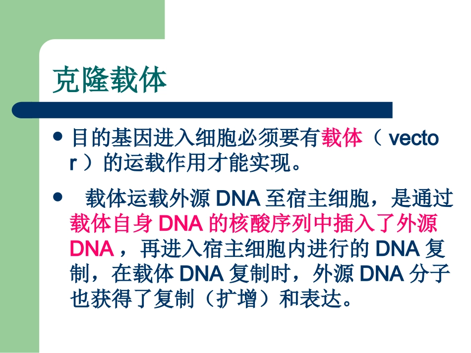 常用克隆载体_第2页