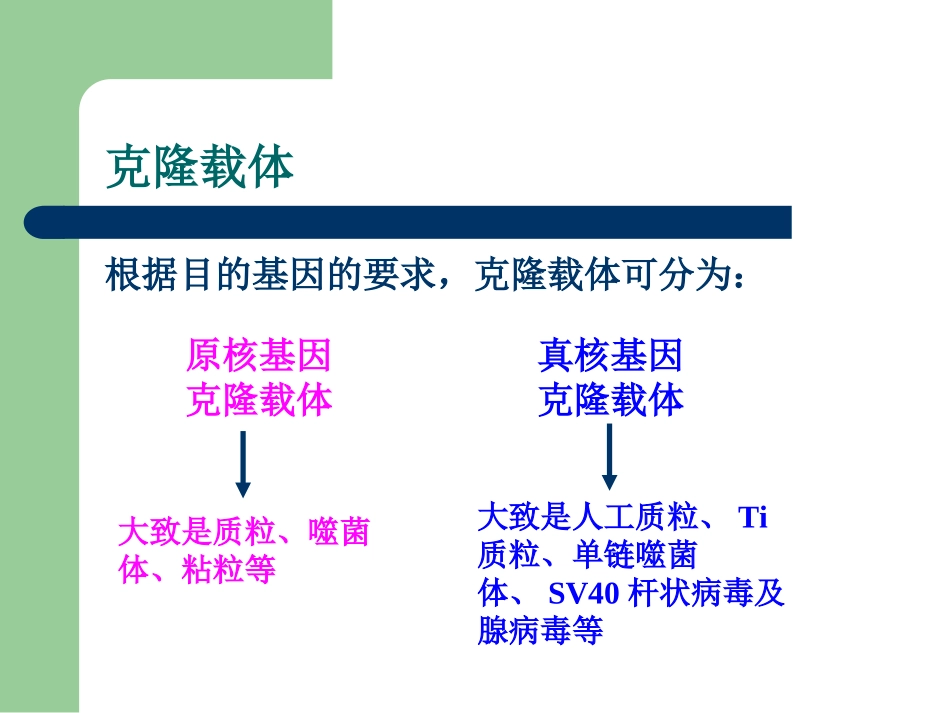 常用克隆载体_第3页