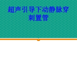 超声引导下动静脉穿刺置管培训课件