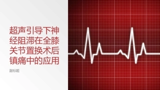 超声引导下神经阻滞在全膝关节置换术后镇痛的应用