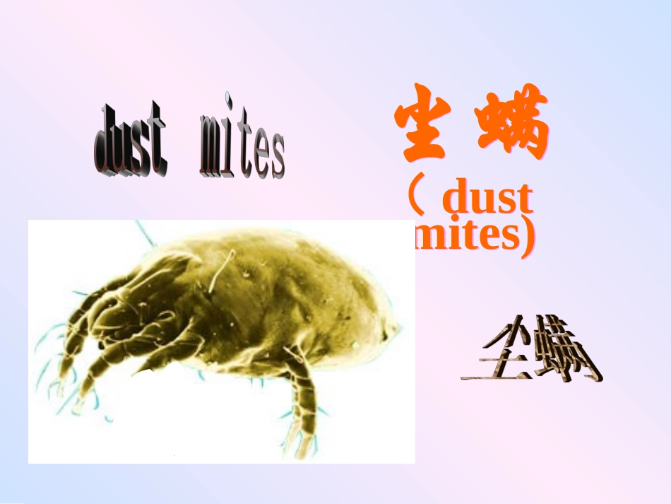 尘螨人体寄生虫学_第1页