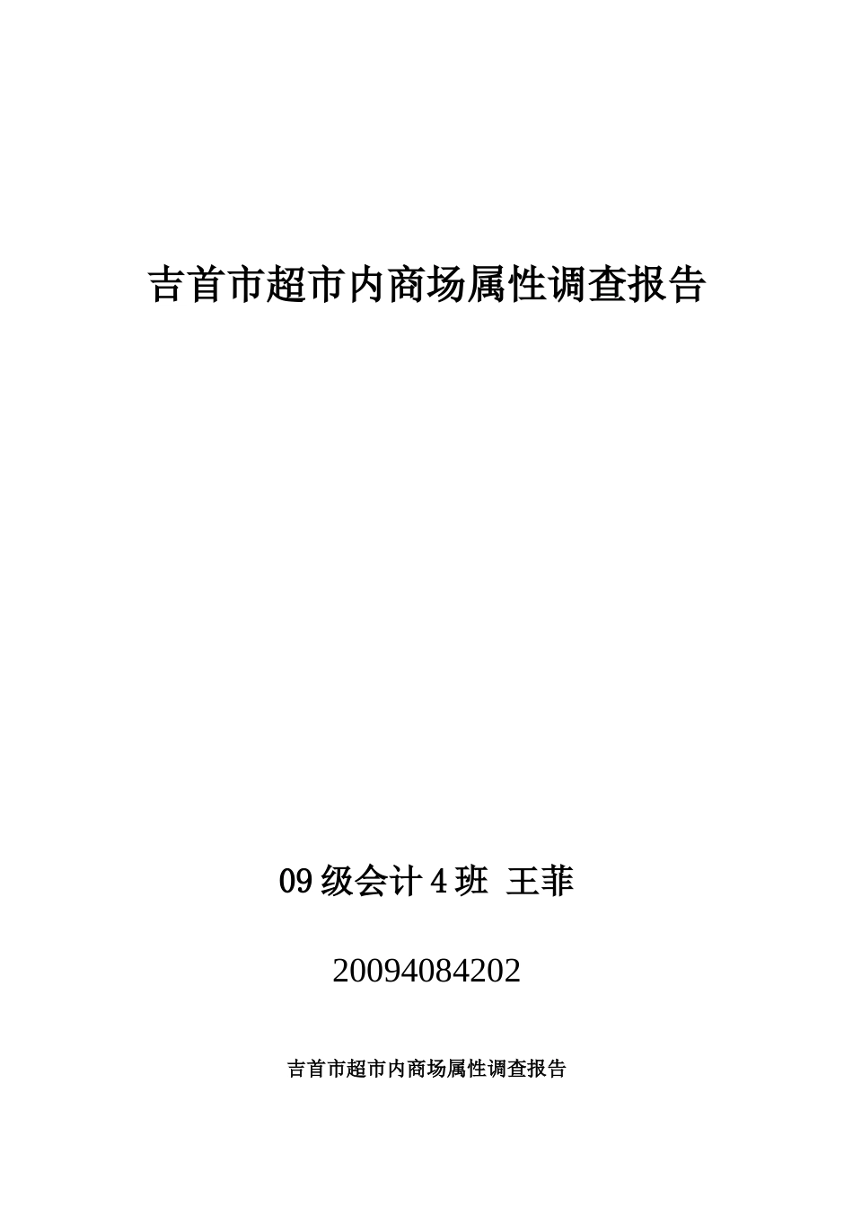 吉首市超市内商场属性调查报告_第1页