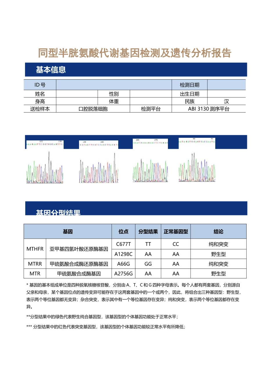 同型半胱氨酸代谢基因检测报告(模板)_第1页