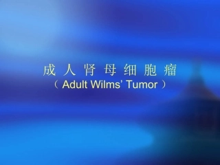成人肾母细胞瘤讲义