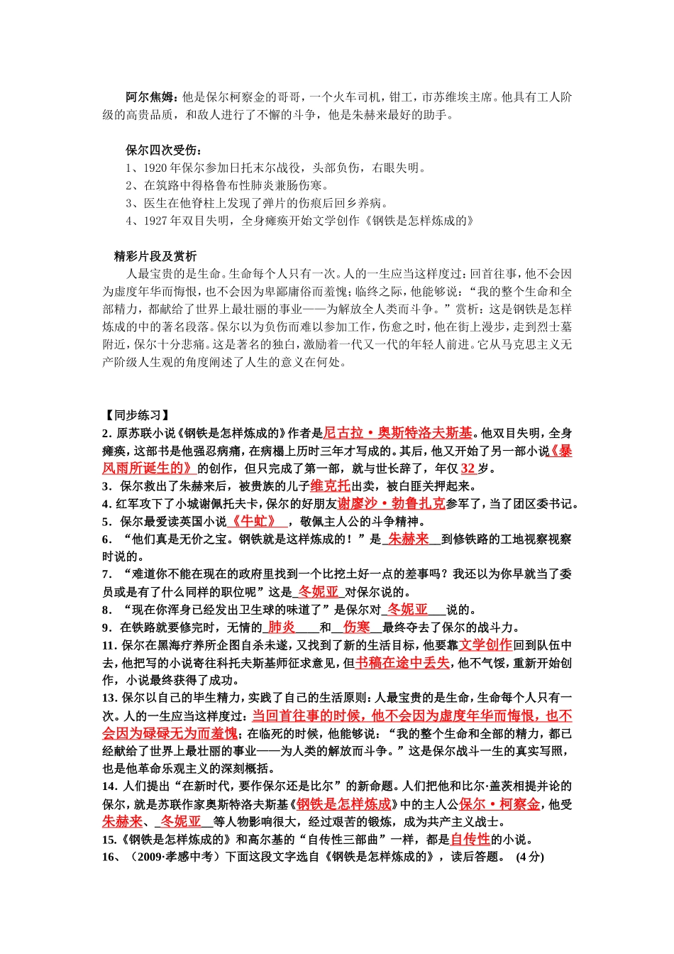 名著《钢铁是怎样炼成的》复习资料_第2页