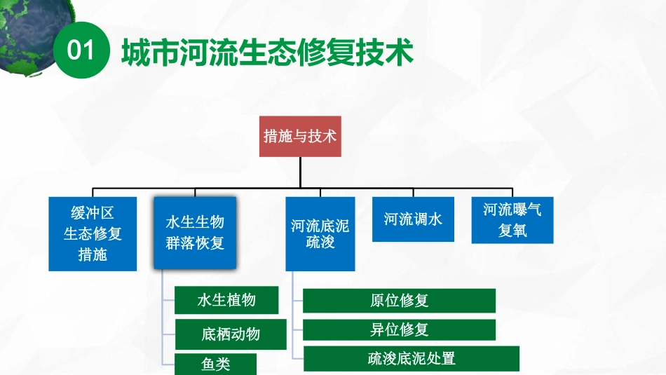 城市河流生态修复与重构_第3页
