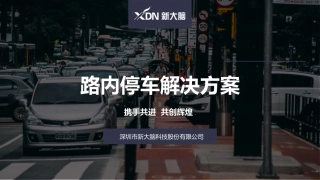 城市路边停车解决方案