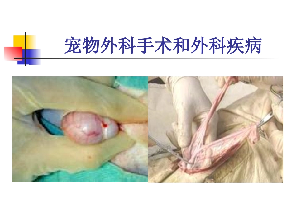 宠物外科手术与疾病宠物外科_第1页