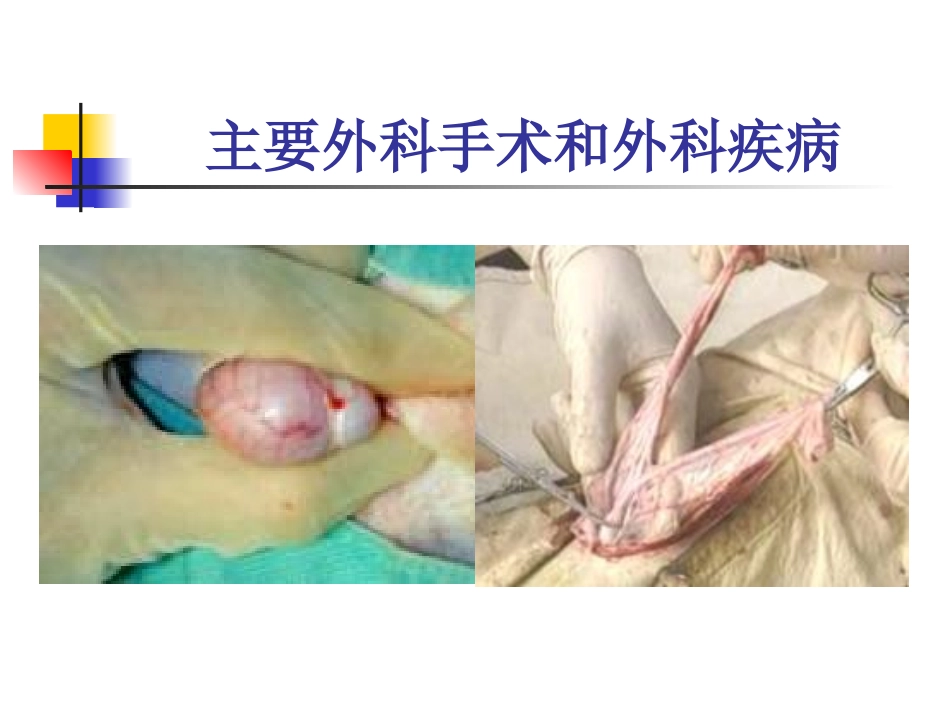 宠物外科手术与疾病外科手术_第1页