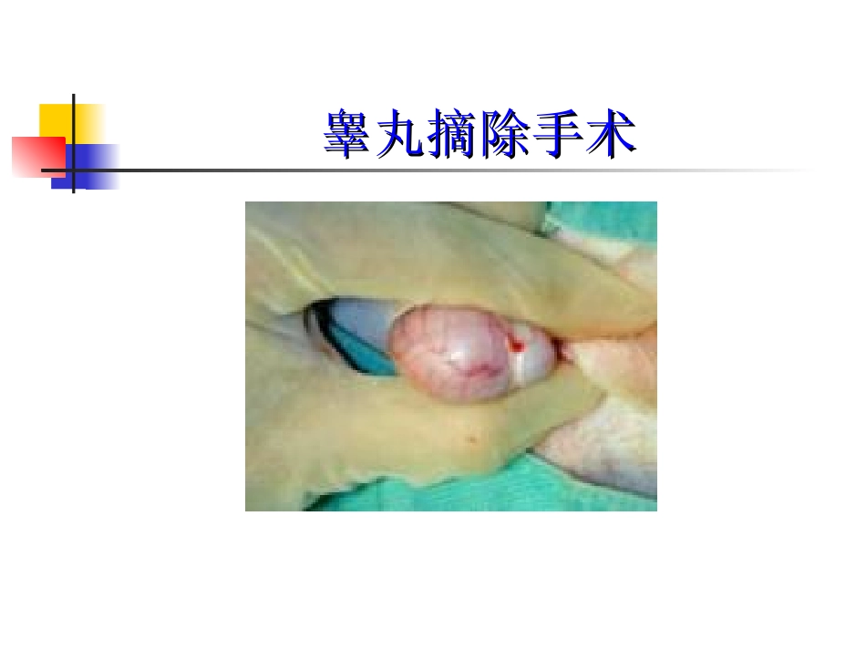 宠物外科手术与疾病外科手术_第2页