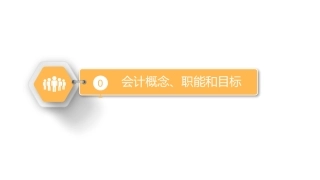 初级会计实务会计概述