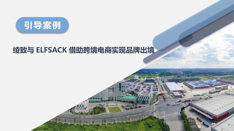 初识跨境电商_第3页