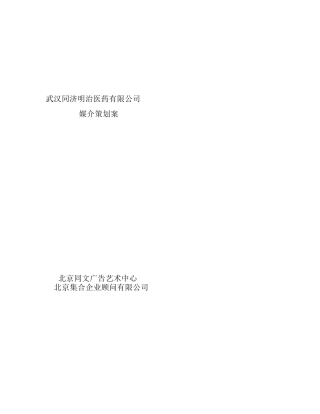 同济媒介策划案