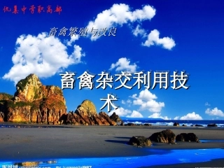 畜禽杂交利用技术