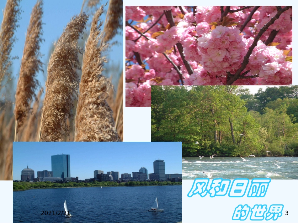 创伤后应激障碍_第3页