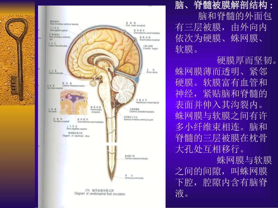 创伤性脑损伤蛛网膜下腔出血的诊断与治疗_第3页