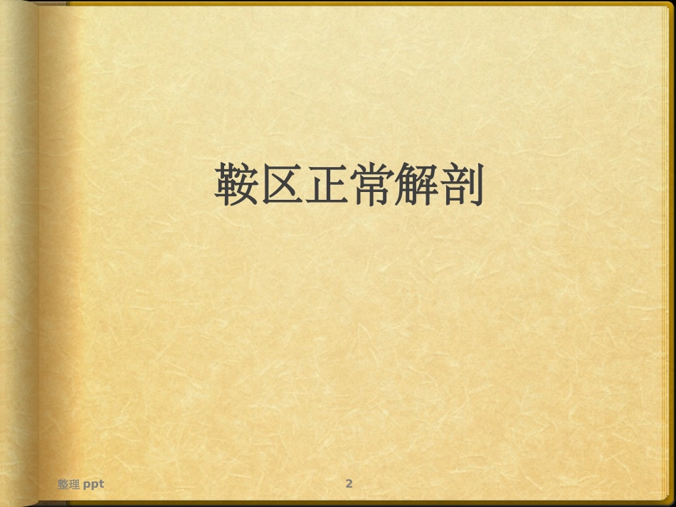 垂体病变Rathke囊肿_第2页