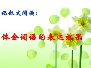 词语表达效果专题培训课件