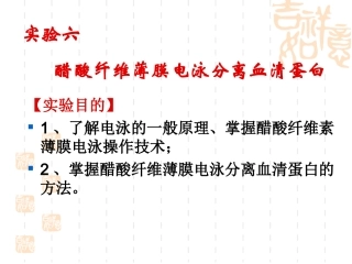 醋酸纤维薄膜电泳分离血清蛋白
