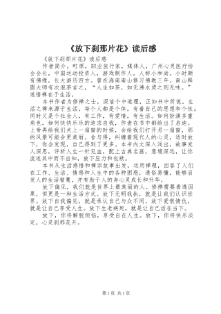 放下刹那片花读后感