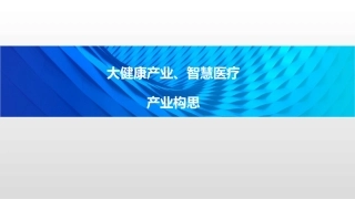 大健康产业智慧医疗产业构思