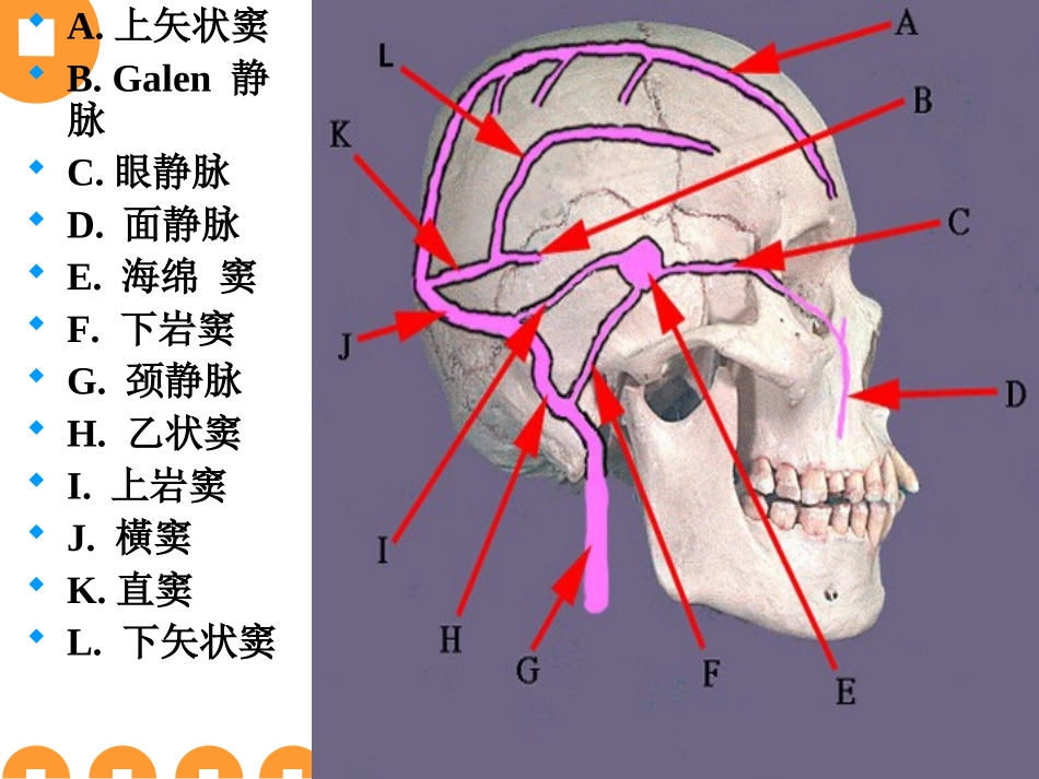 大脑静脉系统解剖讲义_第2页