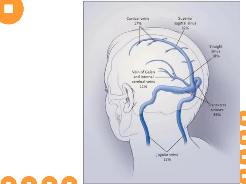 大脑静脉系统解剖讲义_第3页