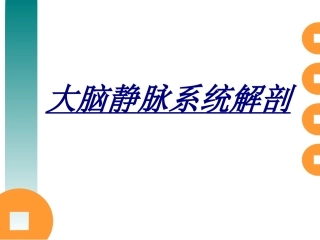 大脑静脉系统解剖讲义