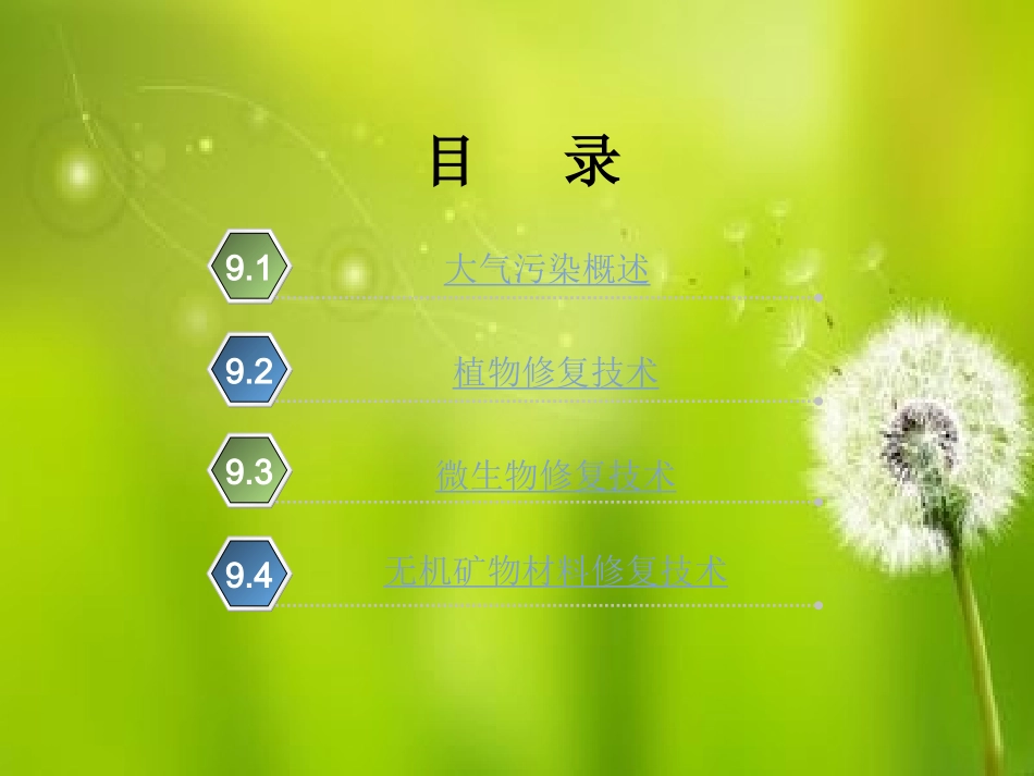 大气污染的环境修复技术_第2页